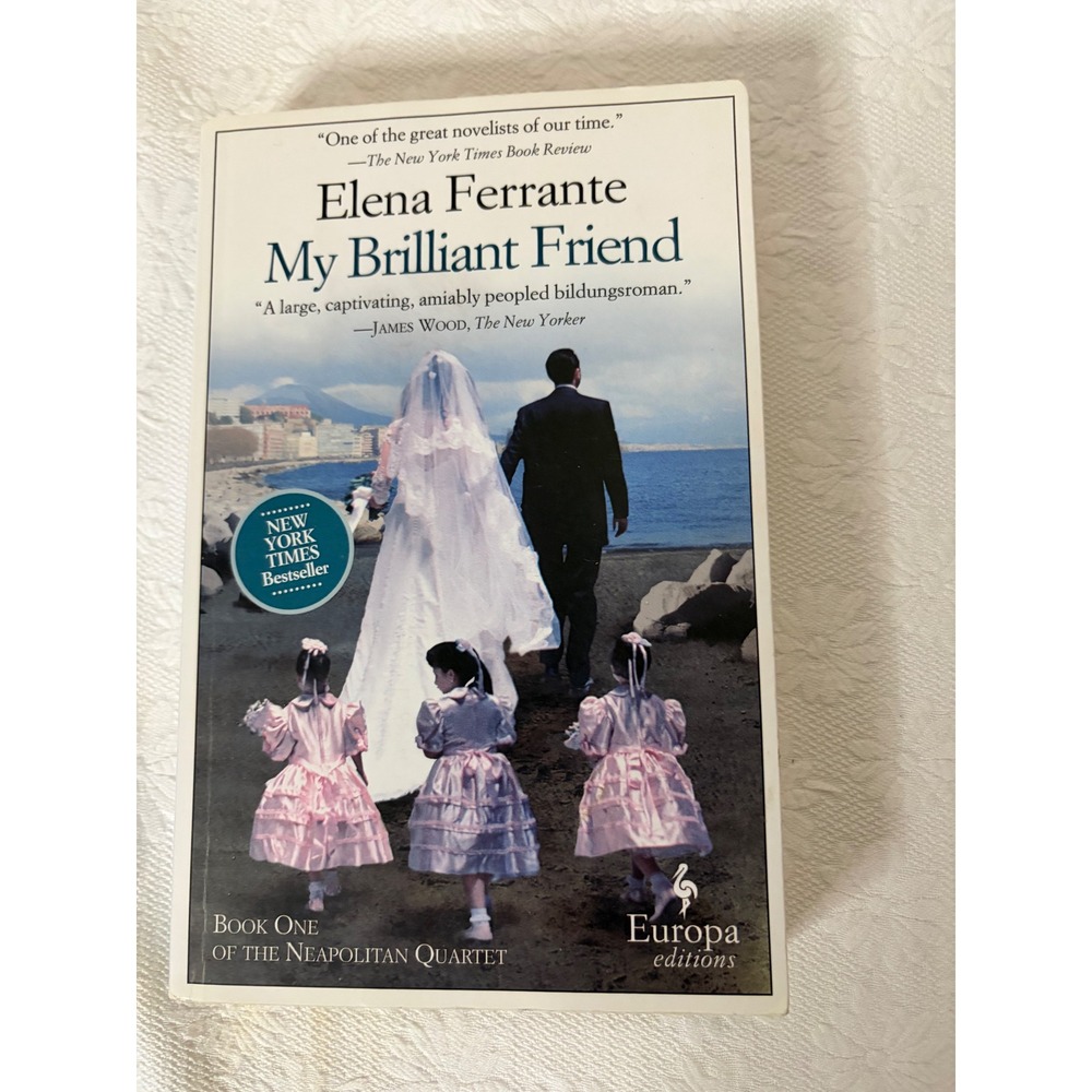 My Brilliant Friend Elena Ferrante Elegant Understated Neapolitan Quartet Book 1